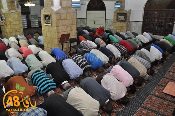 7san bek jsh (10).JPG